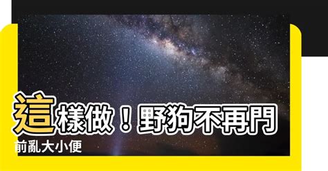 如何防止狗大便|誰知道讓狗不再到我家門口大便的方法？？？